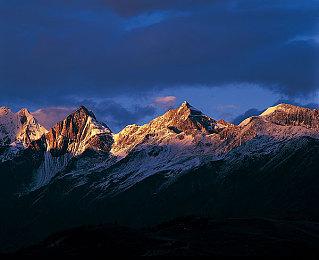 《森林之子》AI更加智能 可协助战斗、建造等